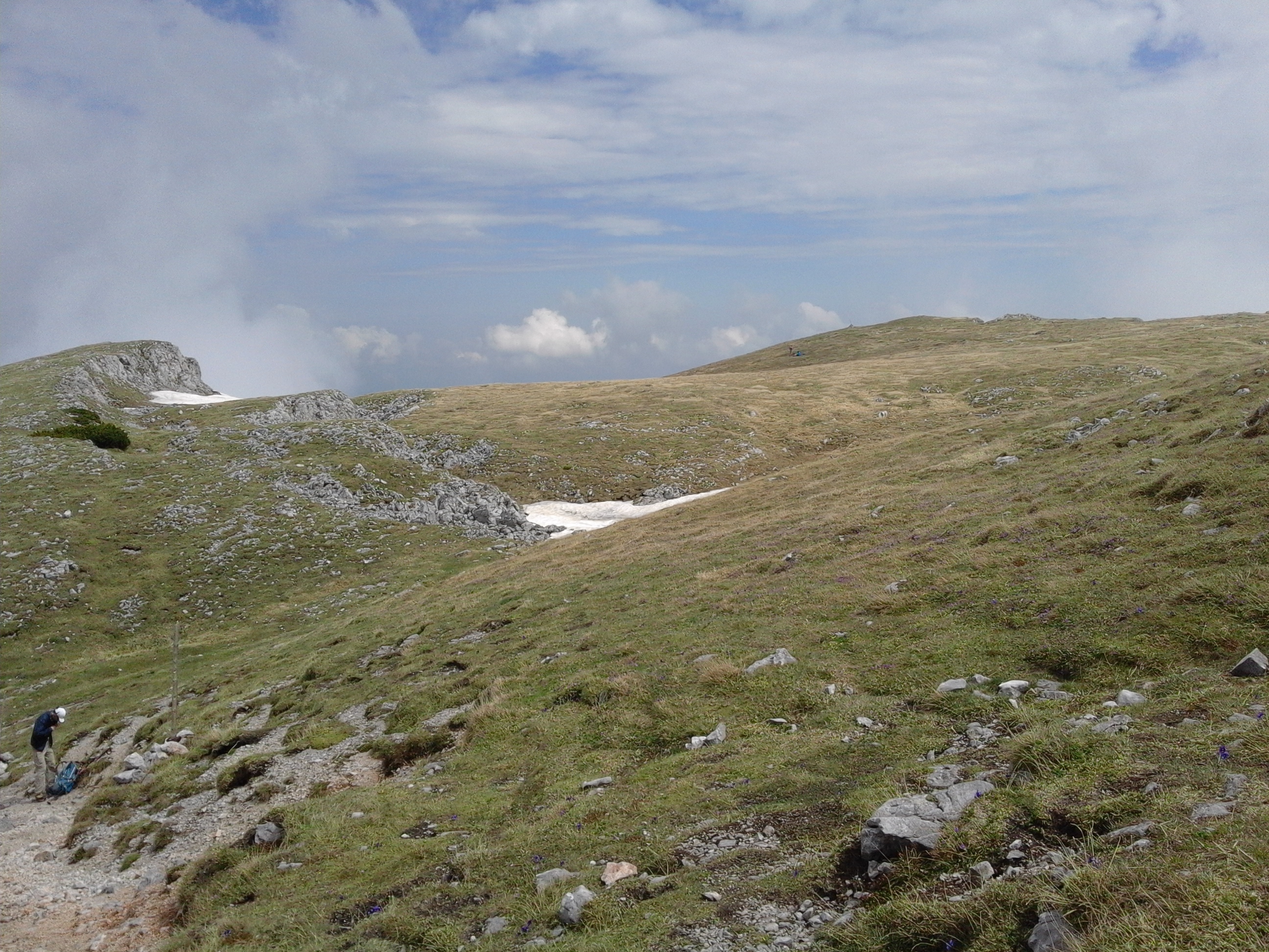 Mountainous vegetation image 10