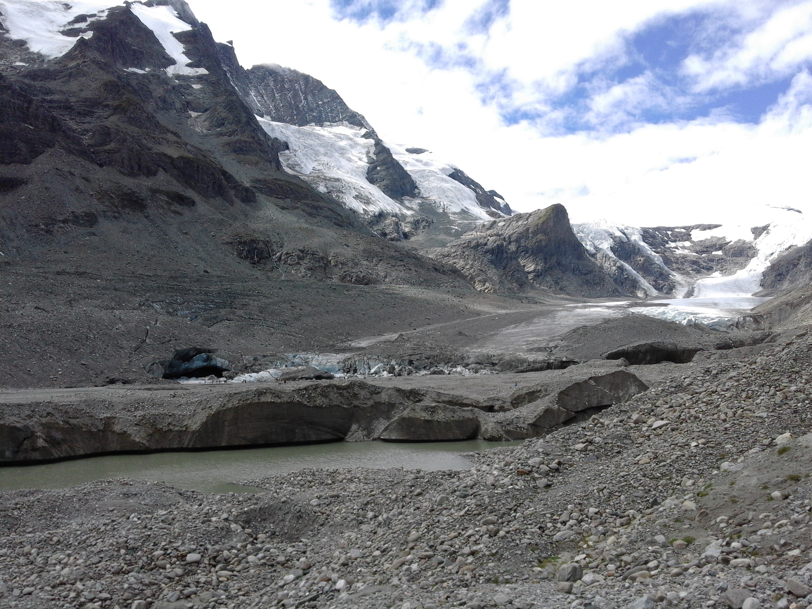 Mountainous vegetation image 12