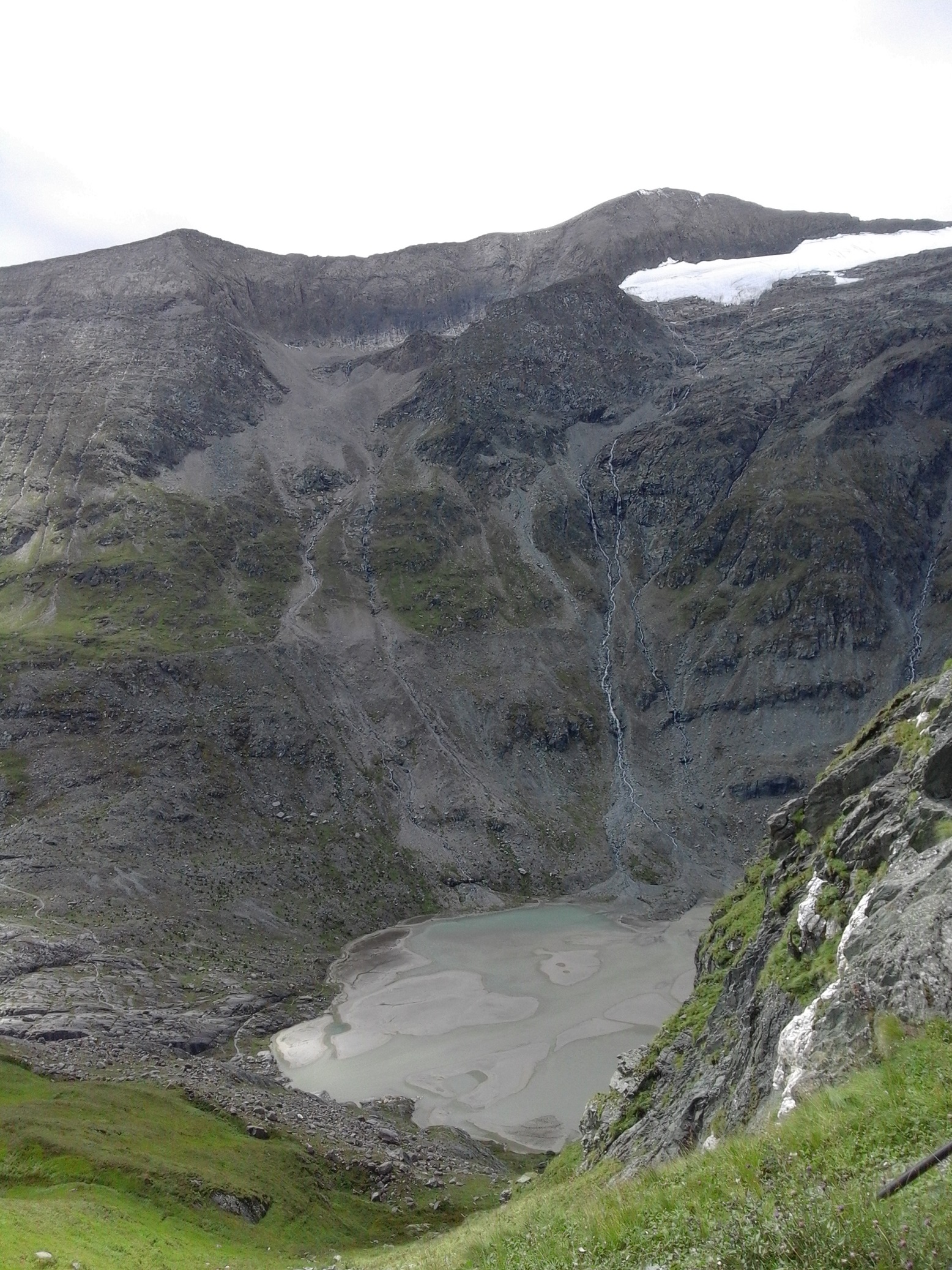 Mountainous vegetation image 13