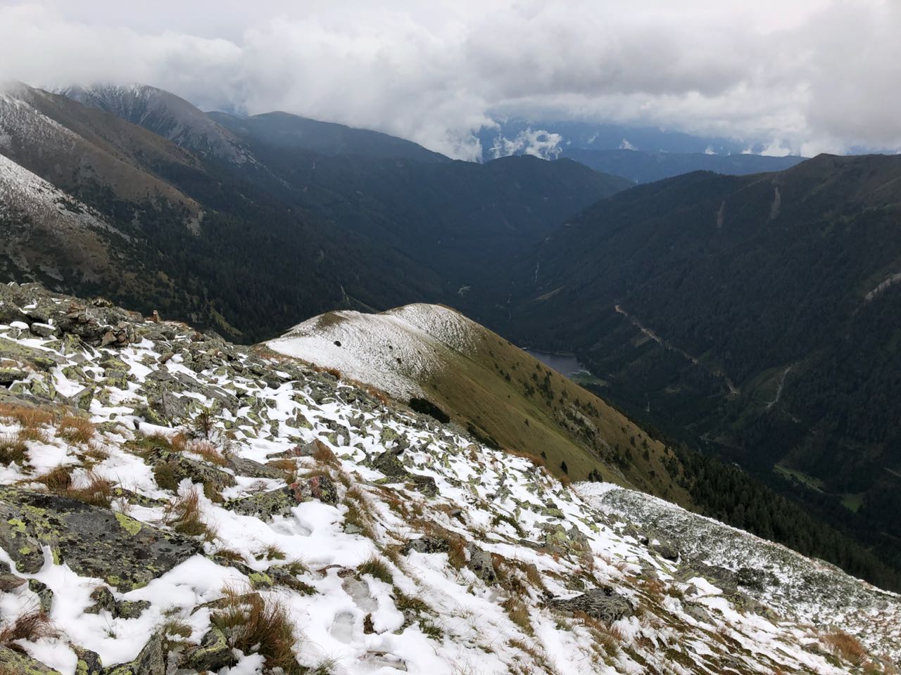 Mountainous vegetation image 2