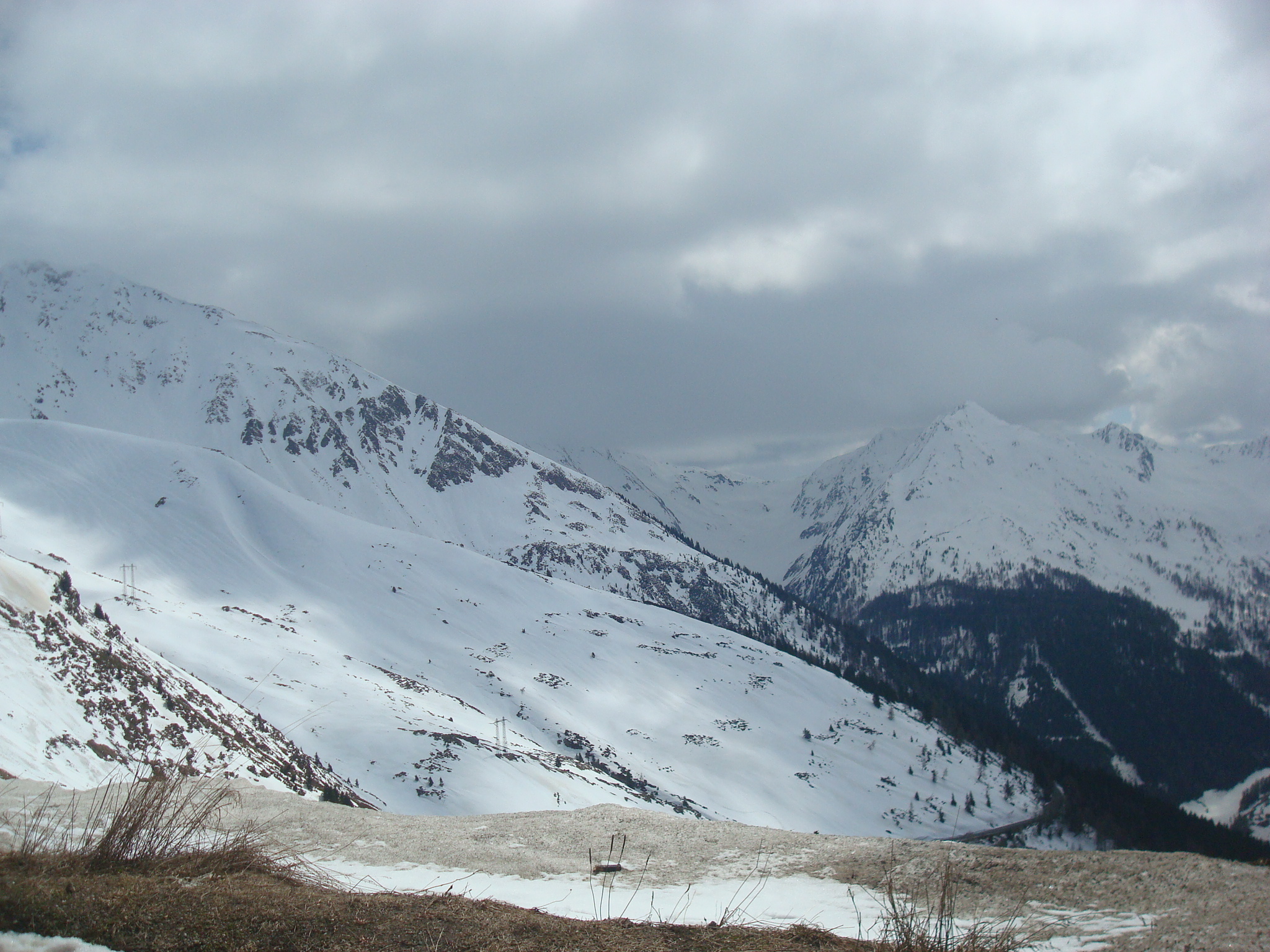 Mountainous vegetation image 3