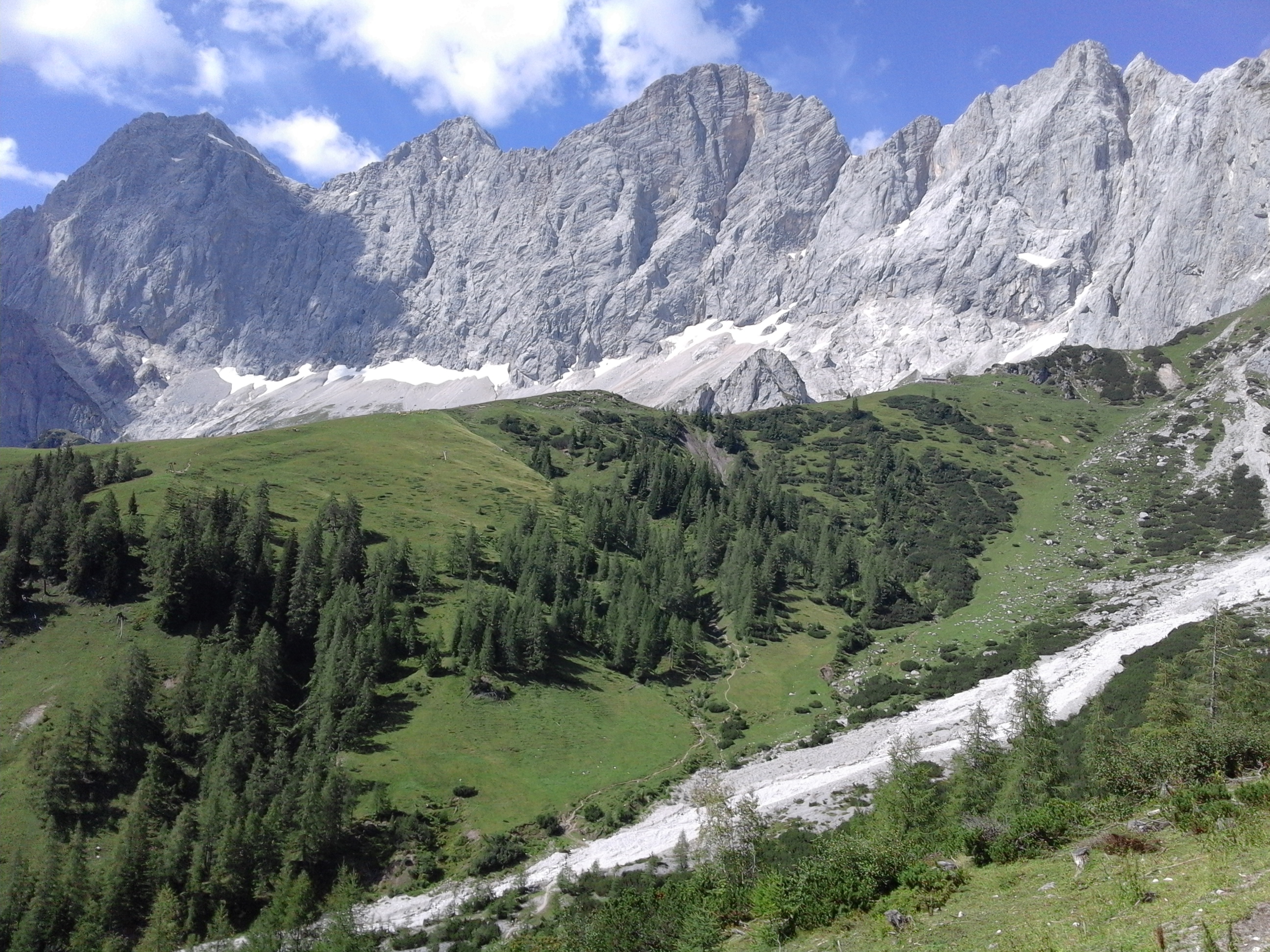 Mountainous vegetation image 5