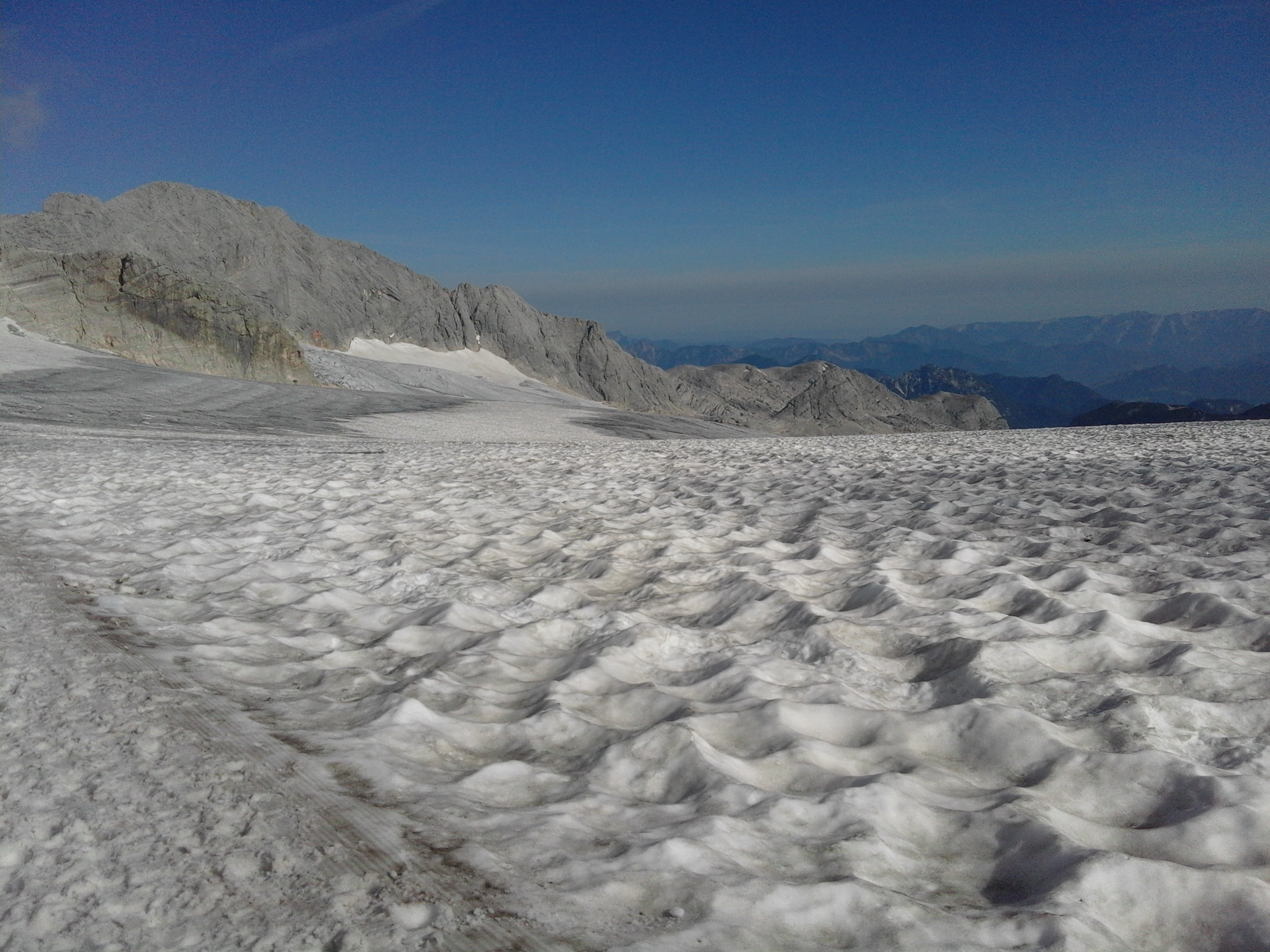 Mountainous vegetation image 6