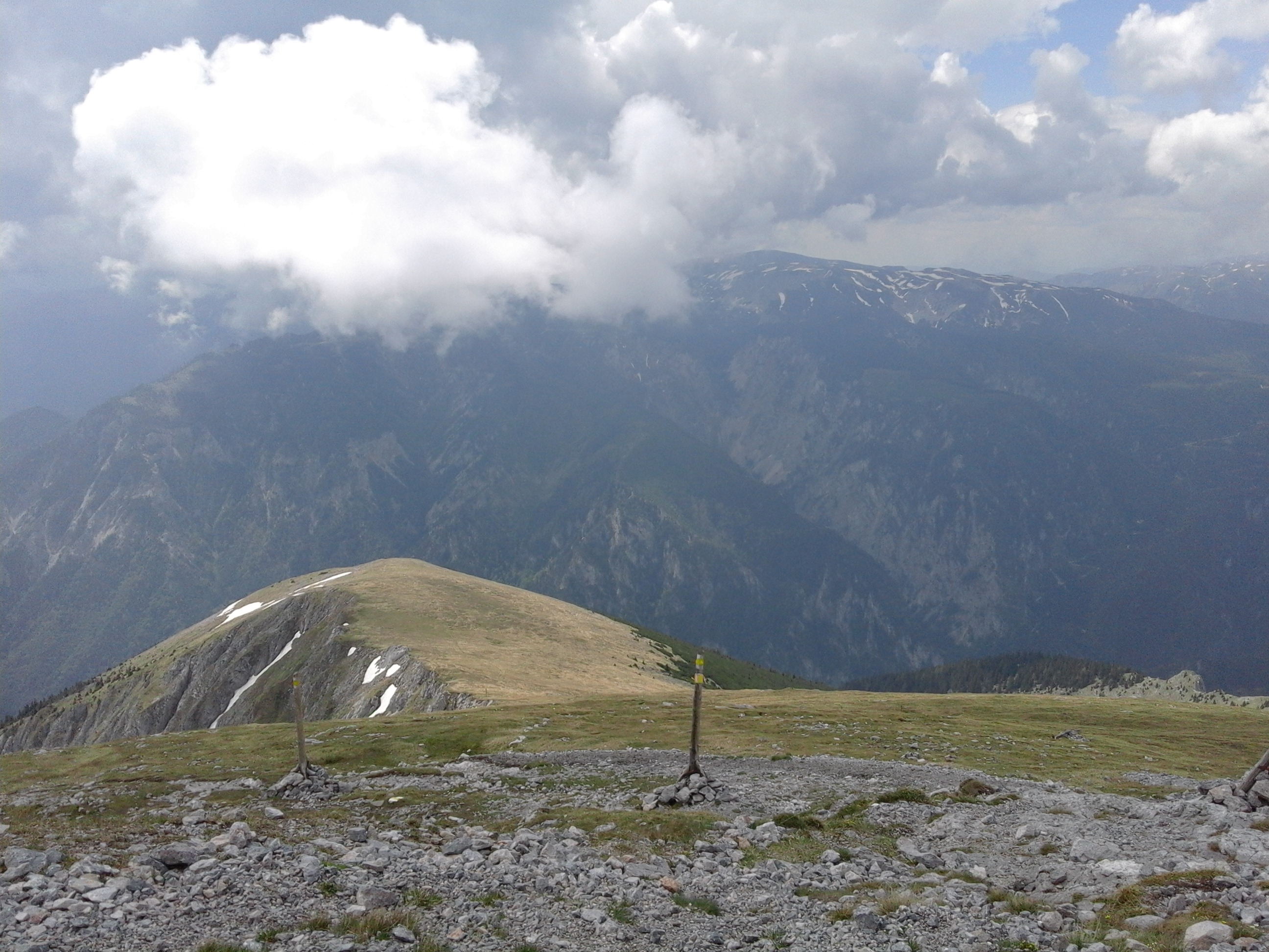 Mountainous vegetation image 7