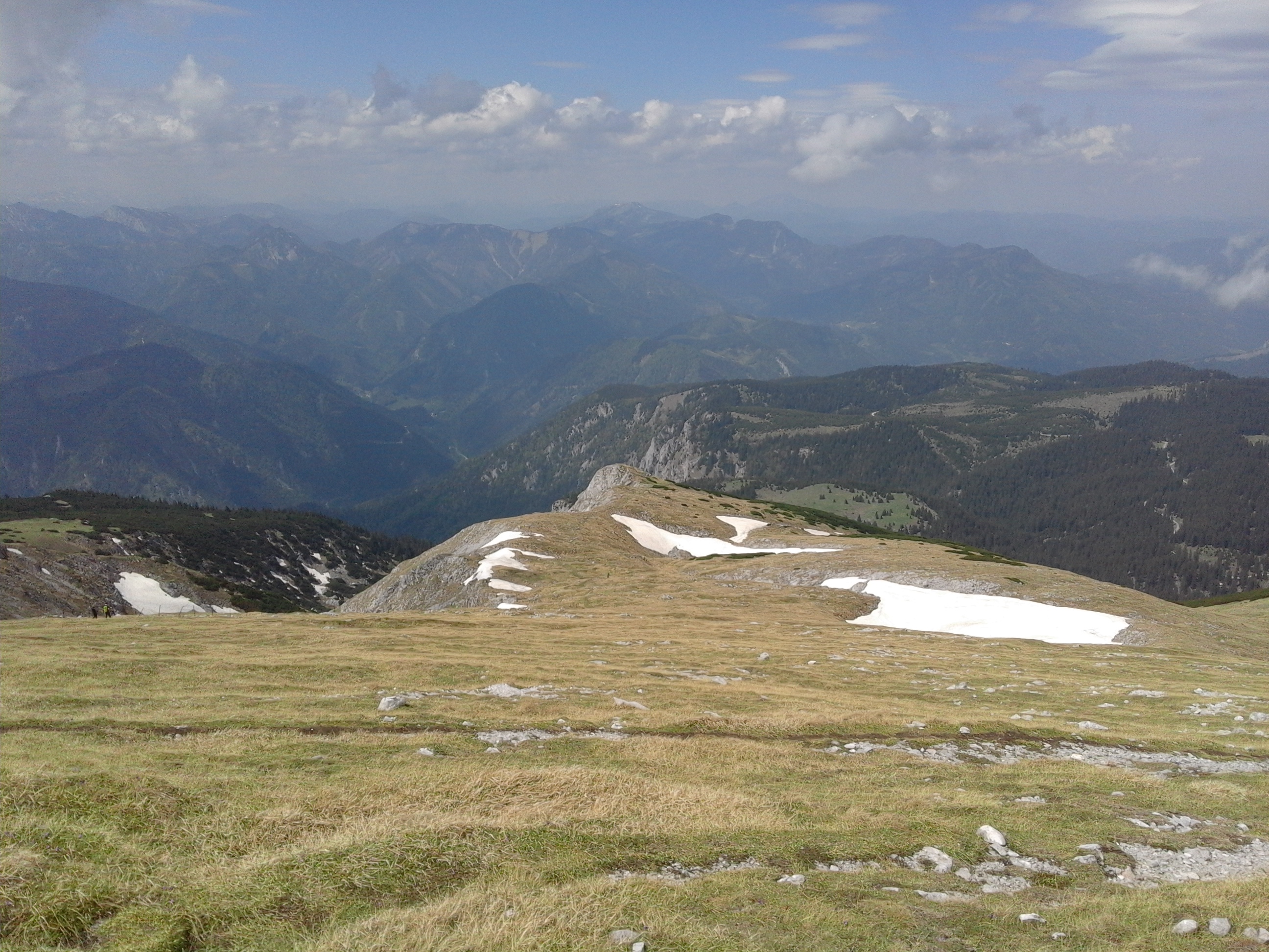 Mountainous vegetation image 8