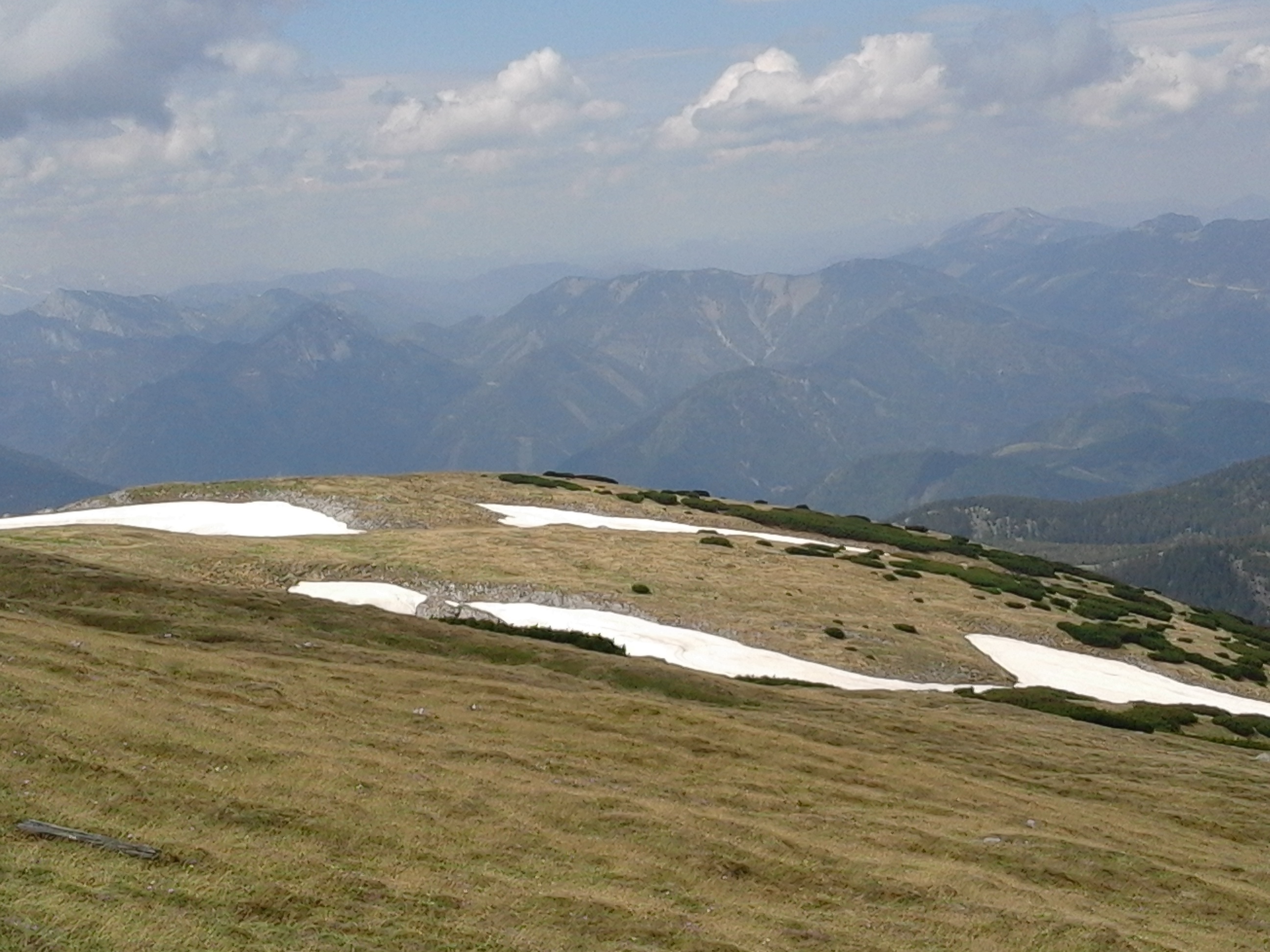 Mountainous vegetation image 9